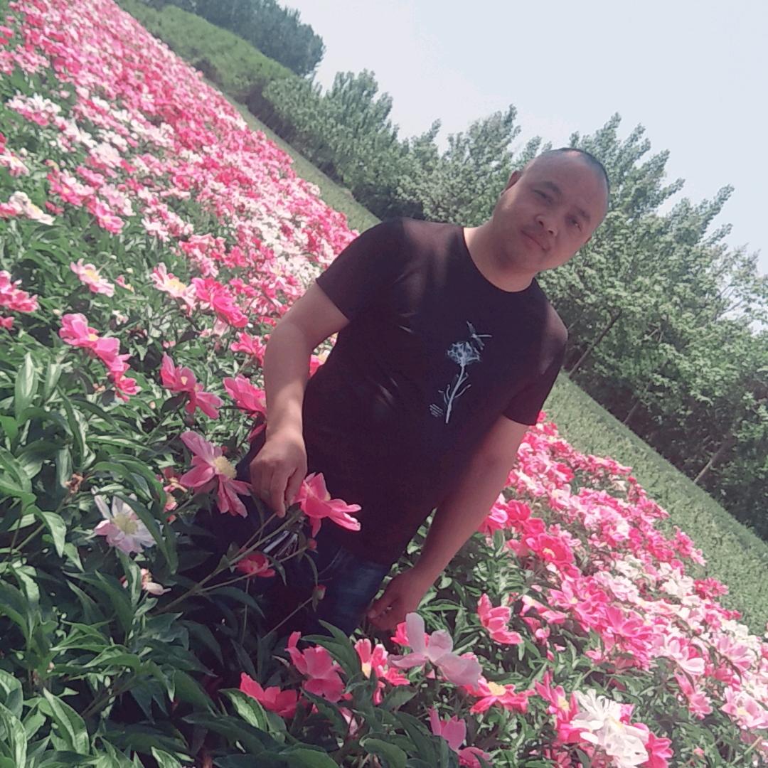 诚鑫药材种植合作社
