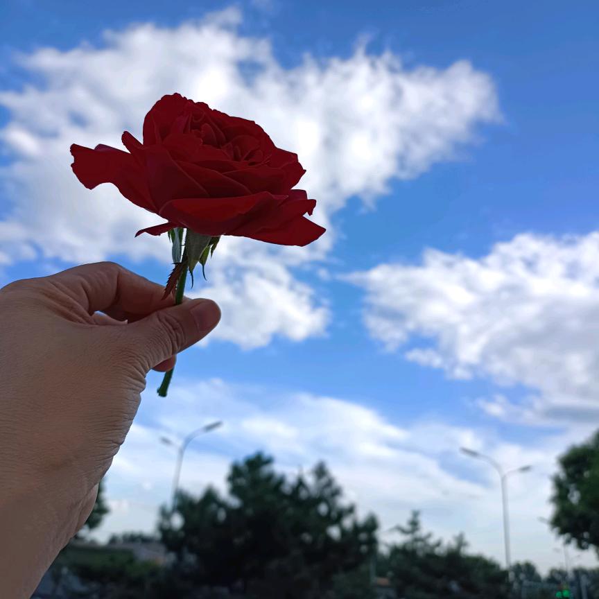 ໑ຼₒ₂₃ღ᭄朱朱女孩🦋꧔ꦿ橱窗好物