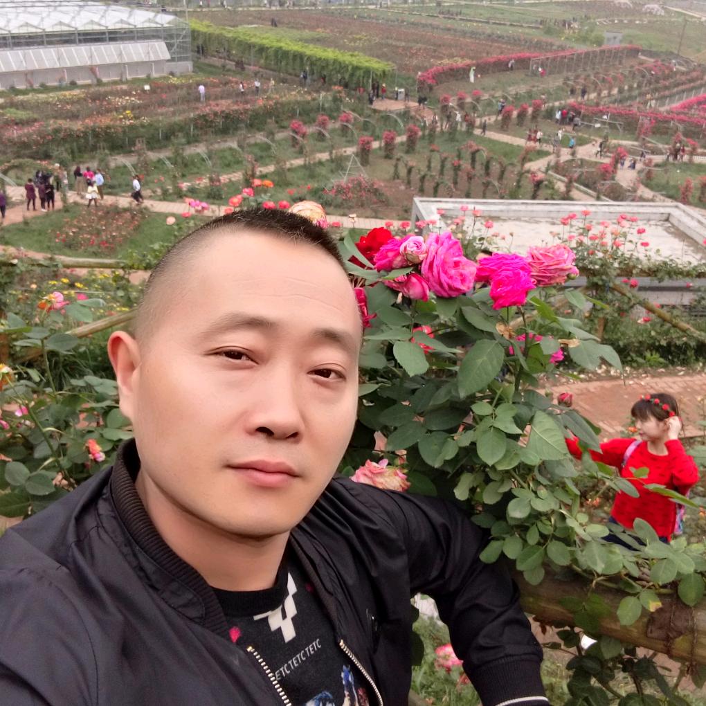 用户1805110515056雷波