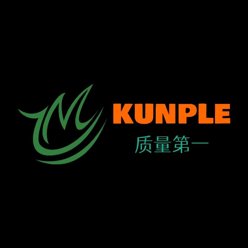 鲲鹏KUNPLE