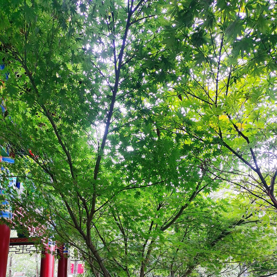 随遇而安