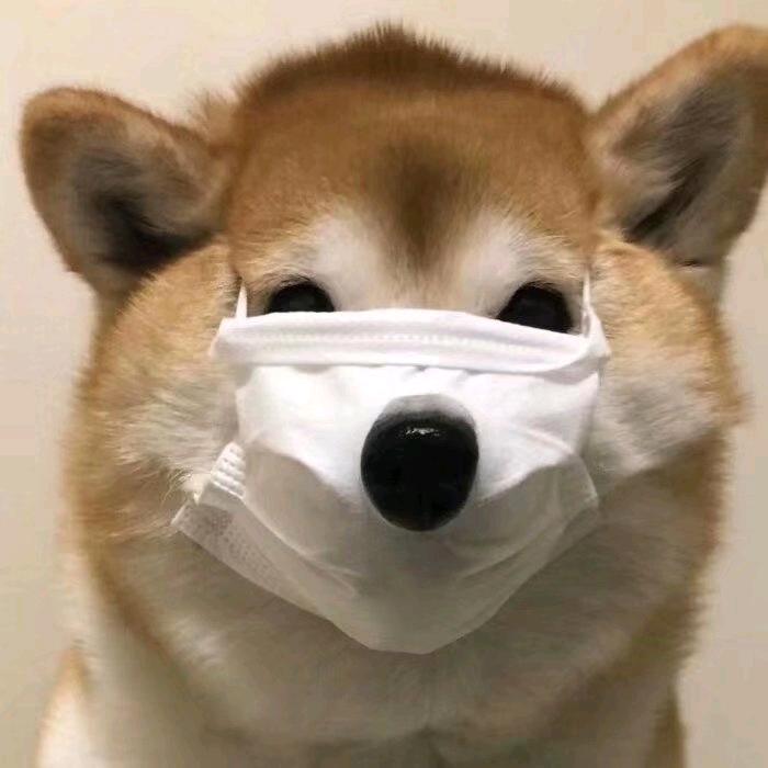 宇🐟