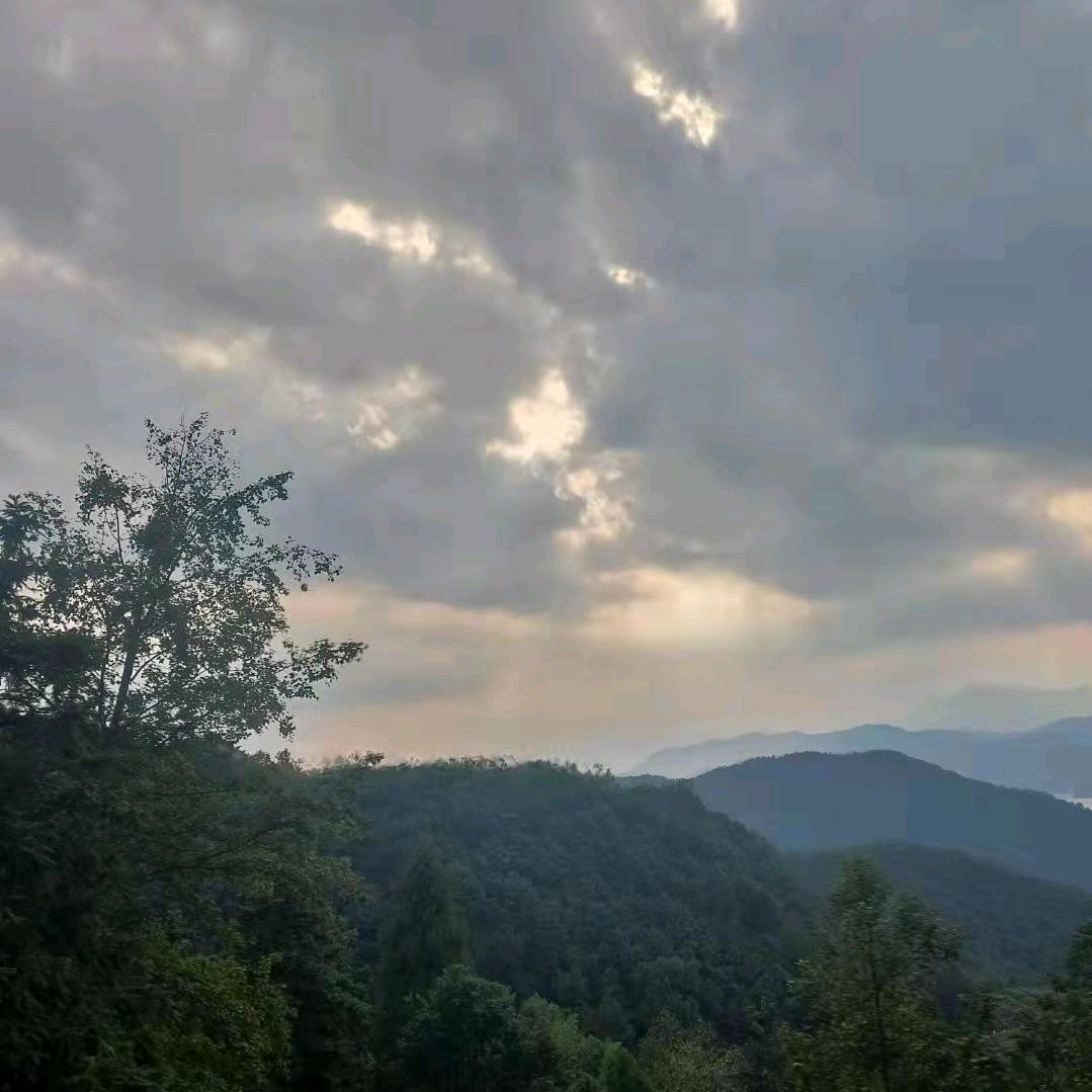 纤冰素手、撩琴弦