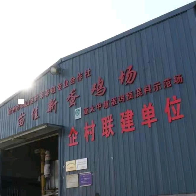 佳新无抗保洁蛋