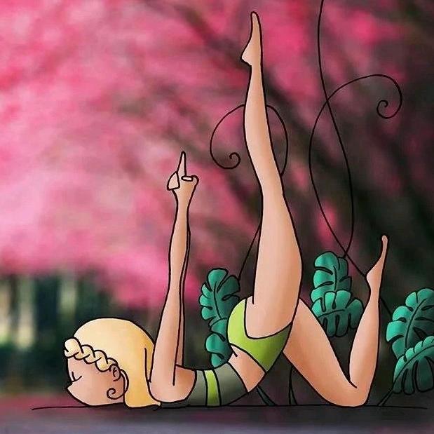 淡如菊