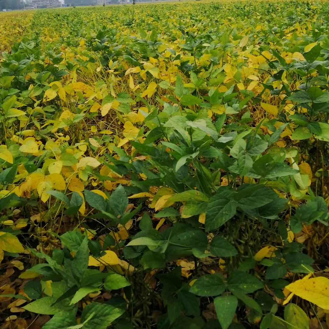 江湖险恶，人心难测！好人一生平安