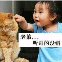 獨噯〆伱①個