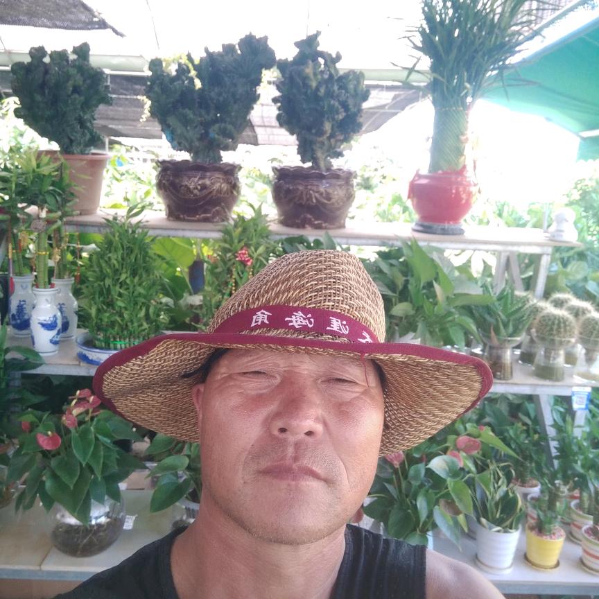 河南人