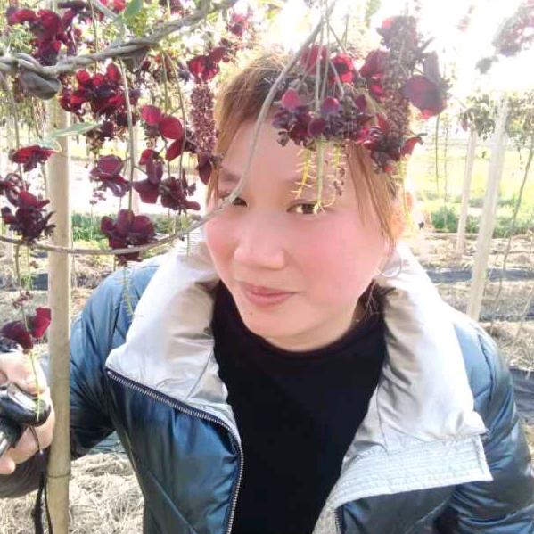 景德镇黄氏八月瓜种植