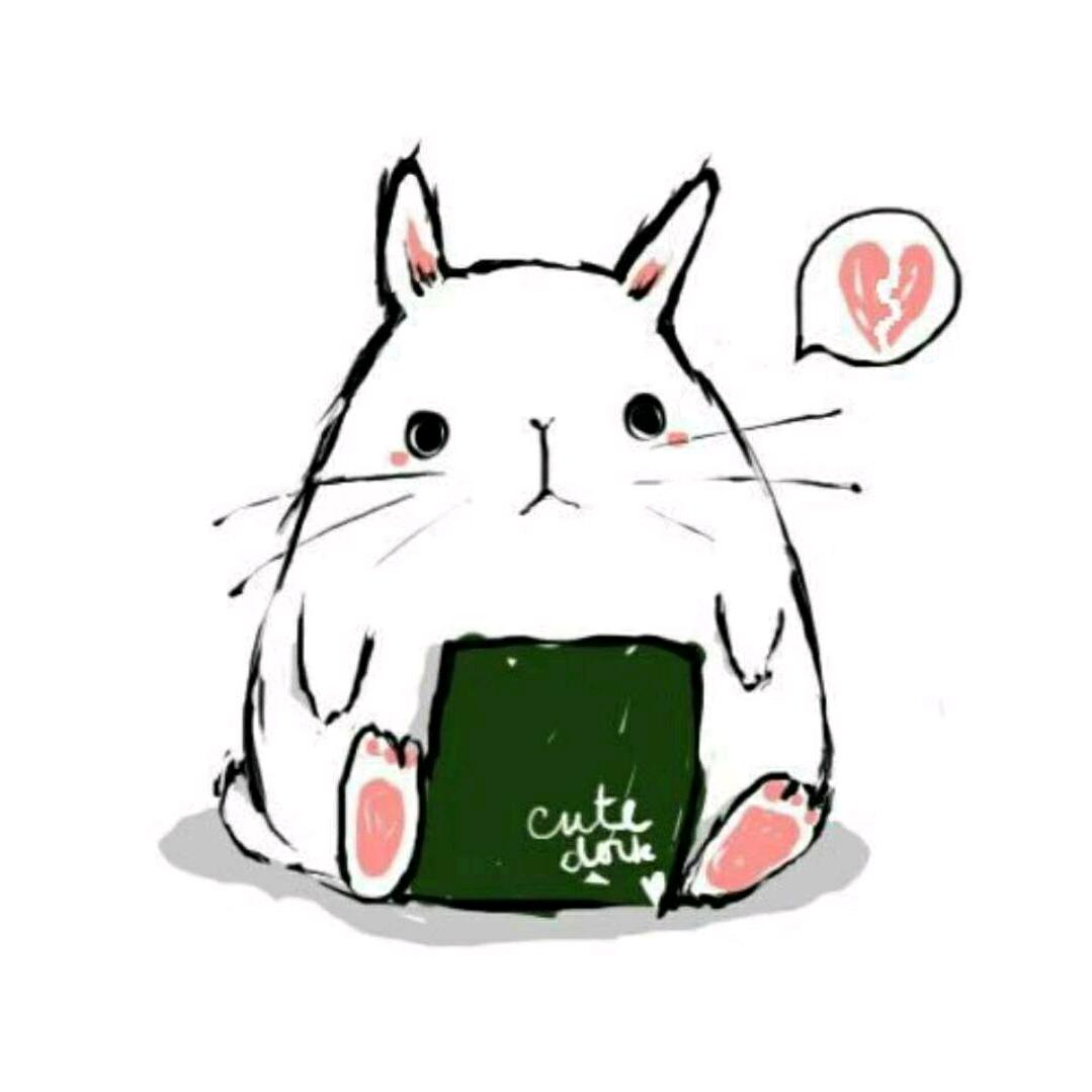 不会摄影的胖纸
