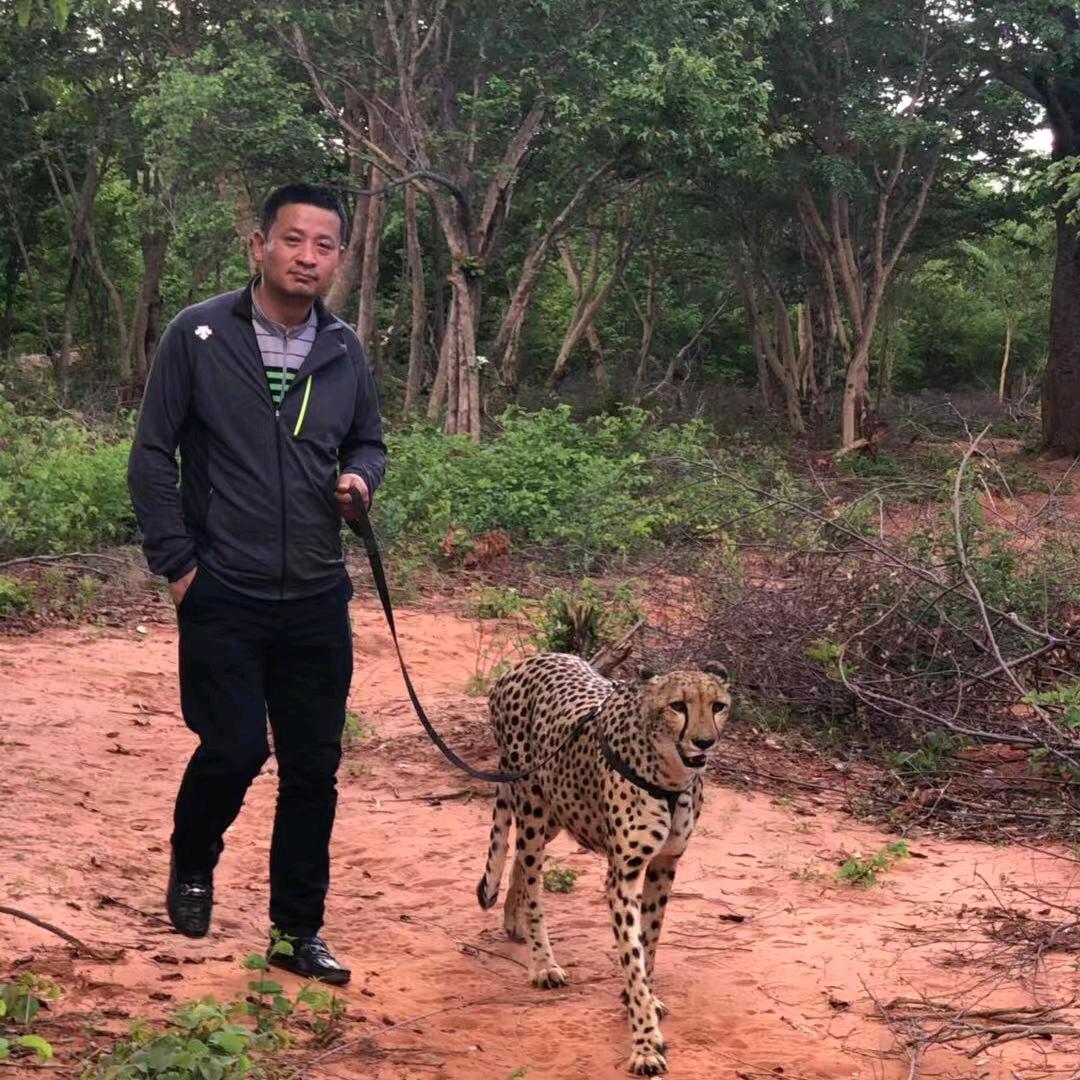 段总看世界