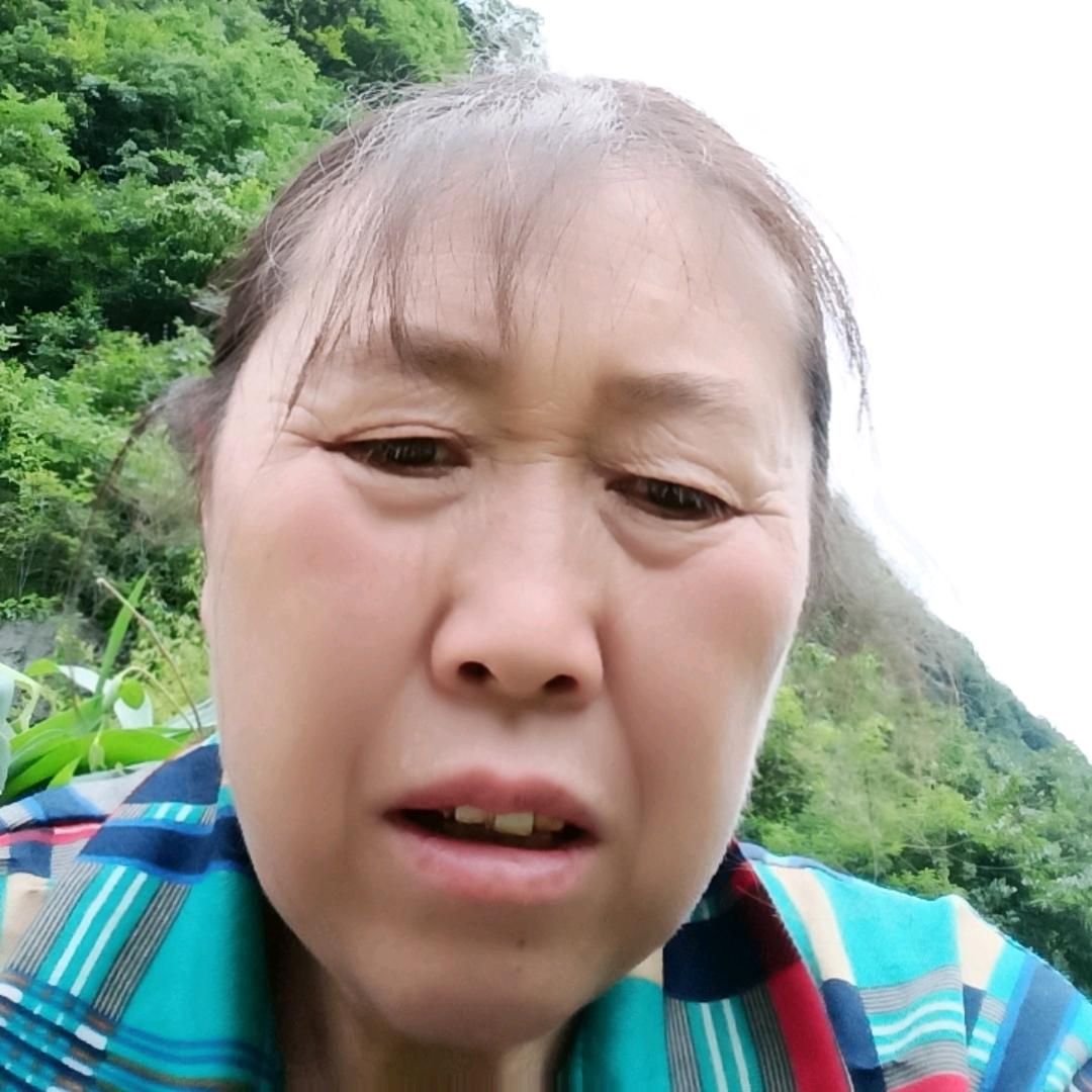 杨群
