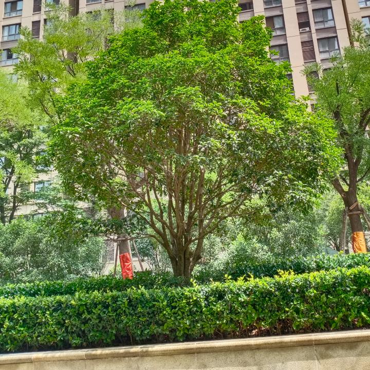 开心,幸福每一天！