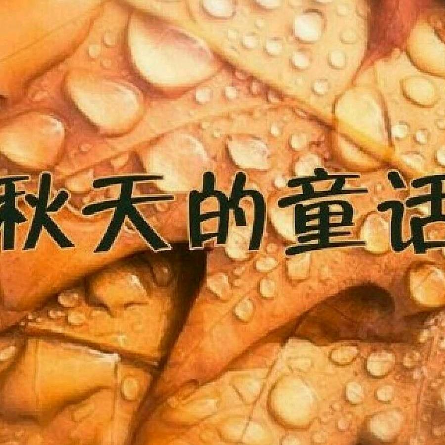 发～哥🍁