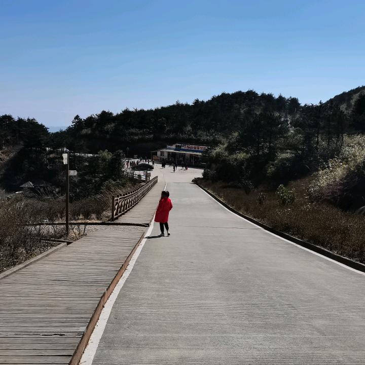 彬彬