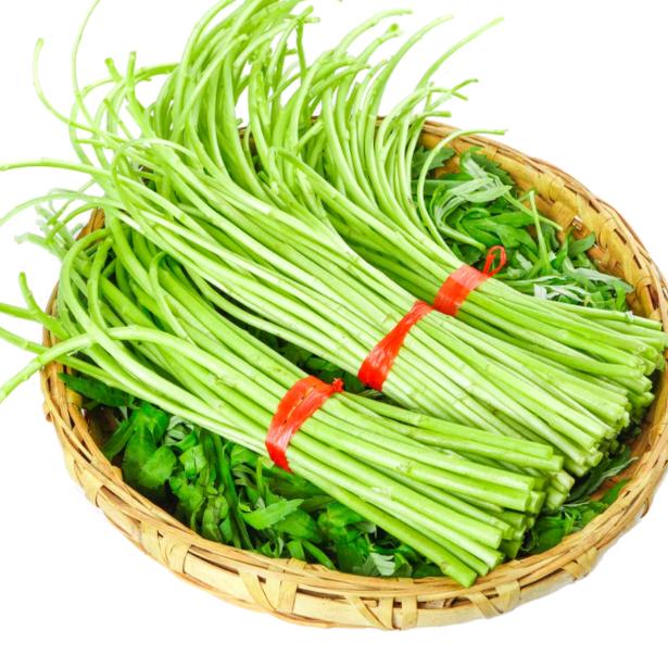 鲜蔡家归仁专卖店