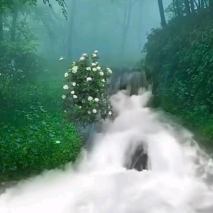 力