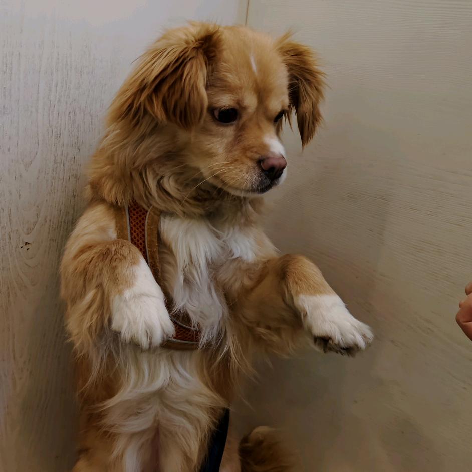 再次醉倒草丛里