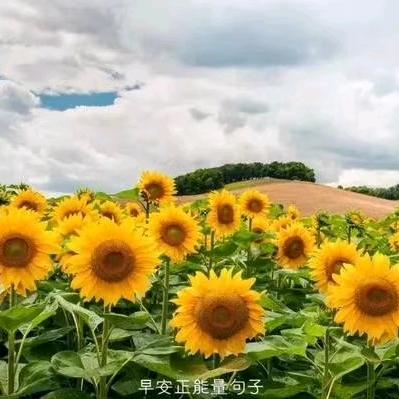 琳姐家政保洁