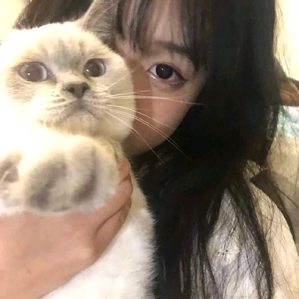 横竖横折竖