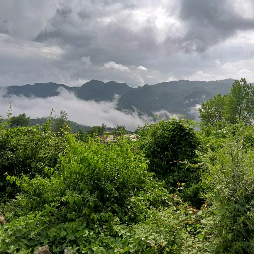 你好哇塞😂😁