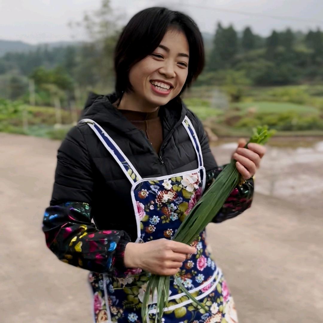乡村秋菊