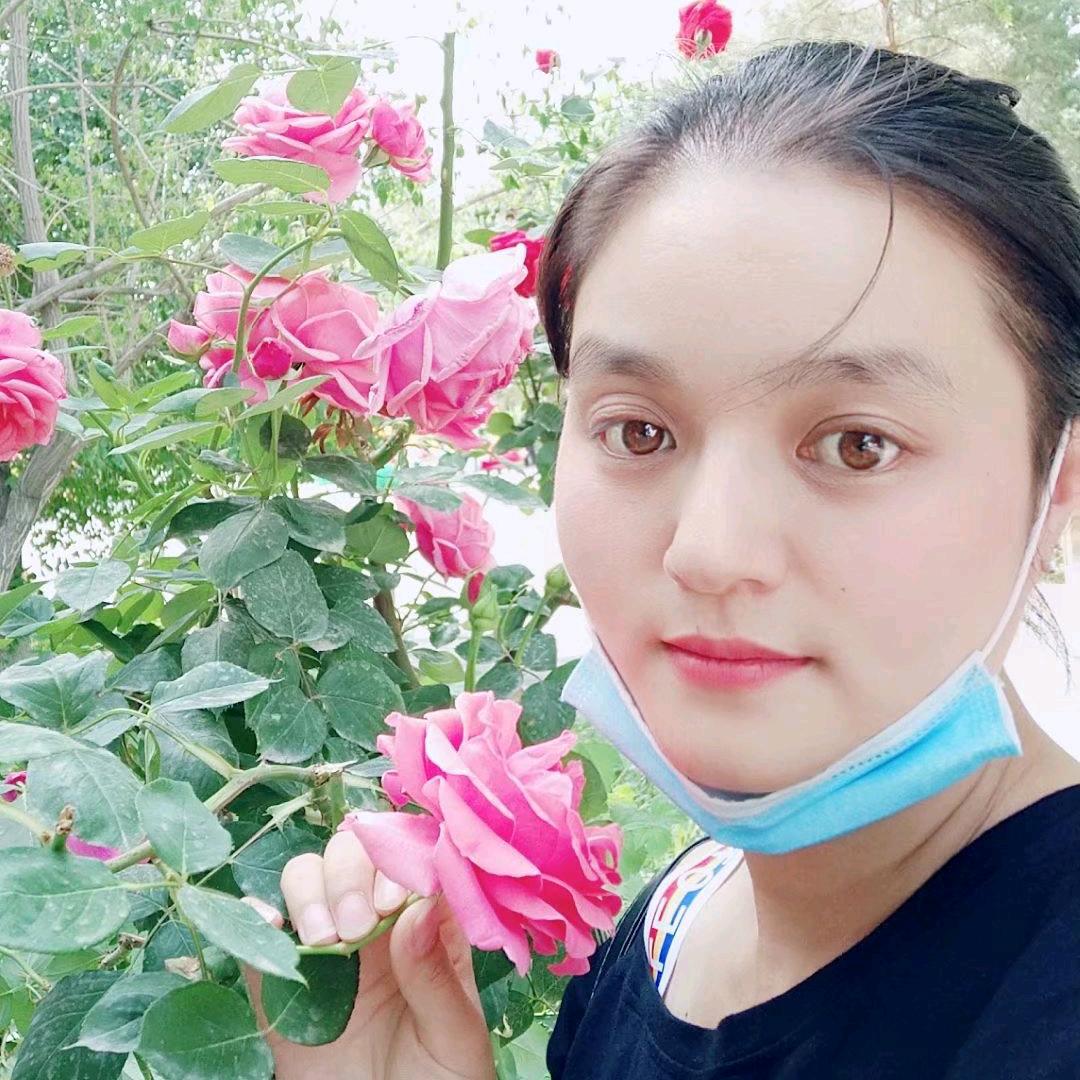 小叶🎁百宝箱