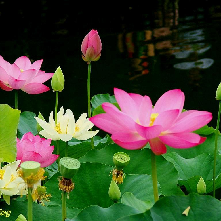 用户5793927638459春暖花开