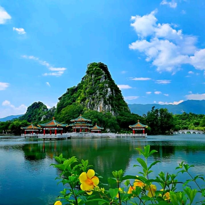 含情脉脉