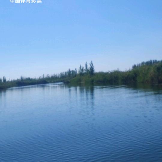 阳♥