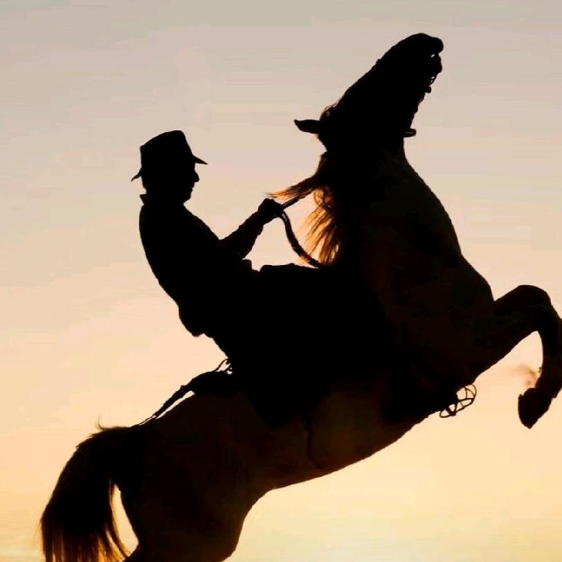 王者不辩，智者讷言