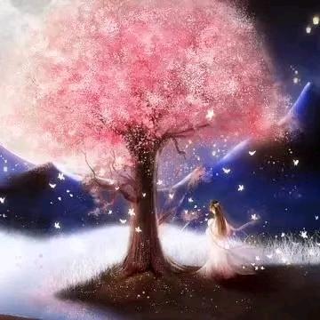 素心_