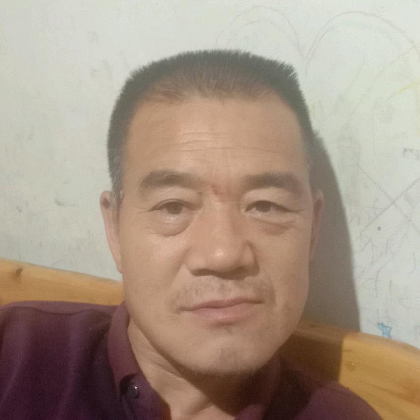 柏树宝