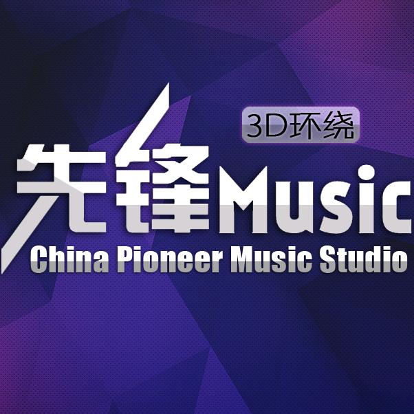 先锋Music（车载优盘）