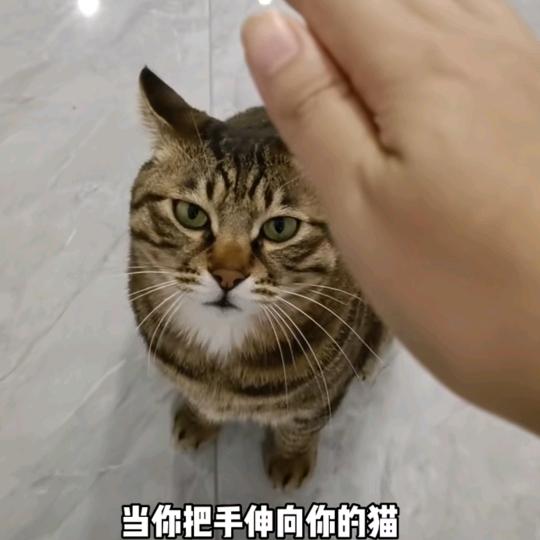 拉肥达人
