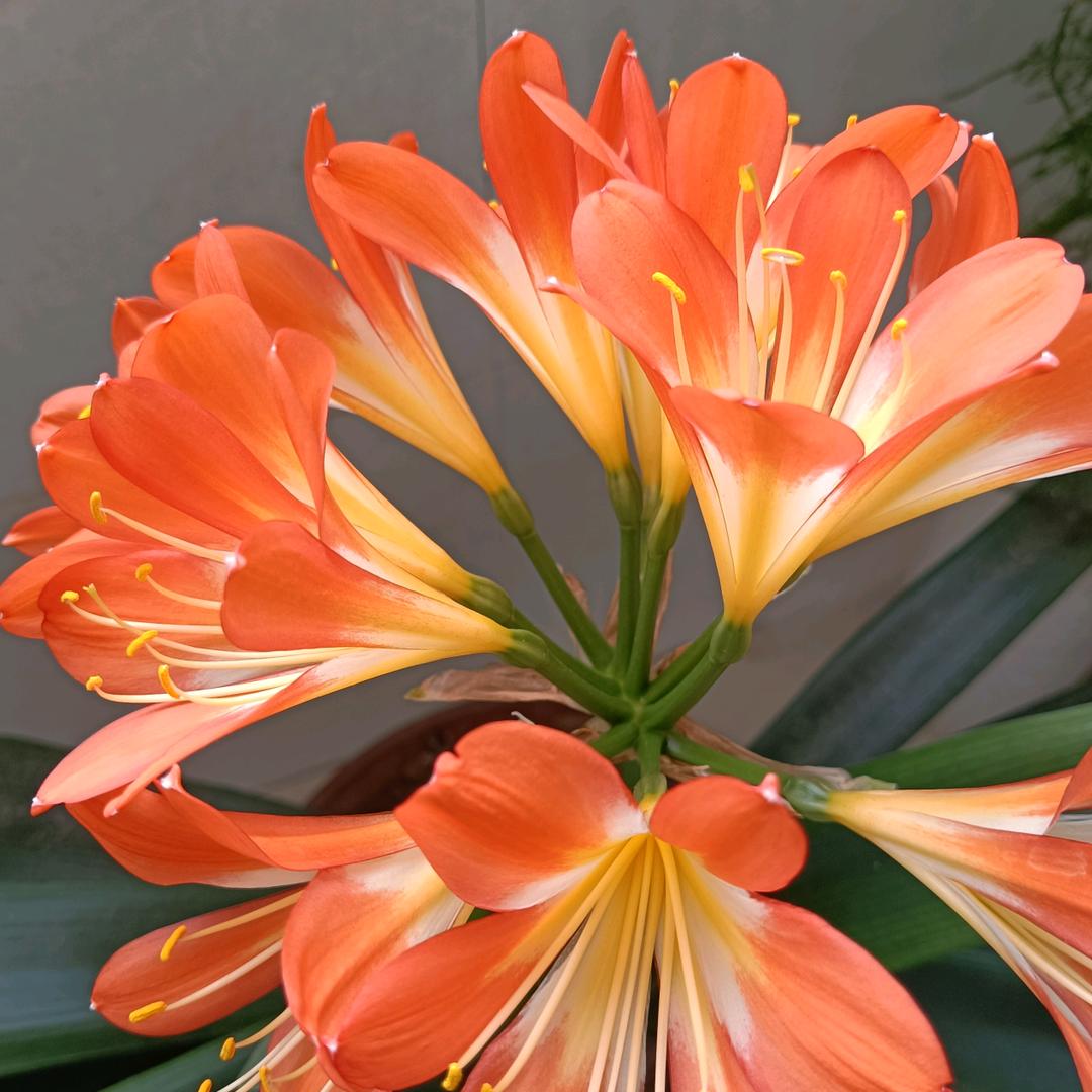 新鲜有约。互关，小红心