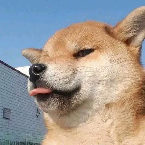 在不疯狂青春就荒了