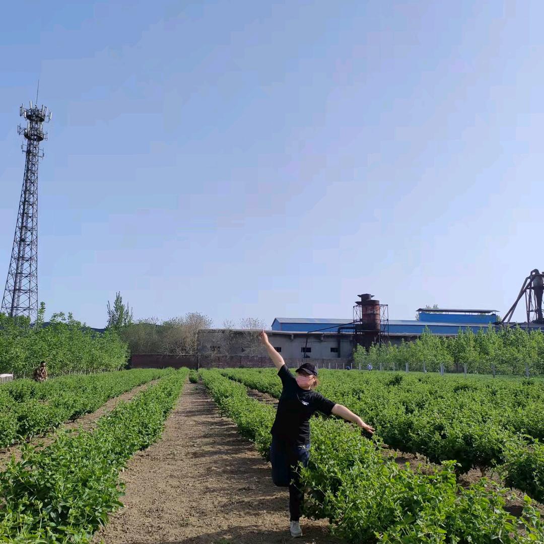 银花“孟”庄园欢迎大家!