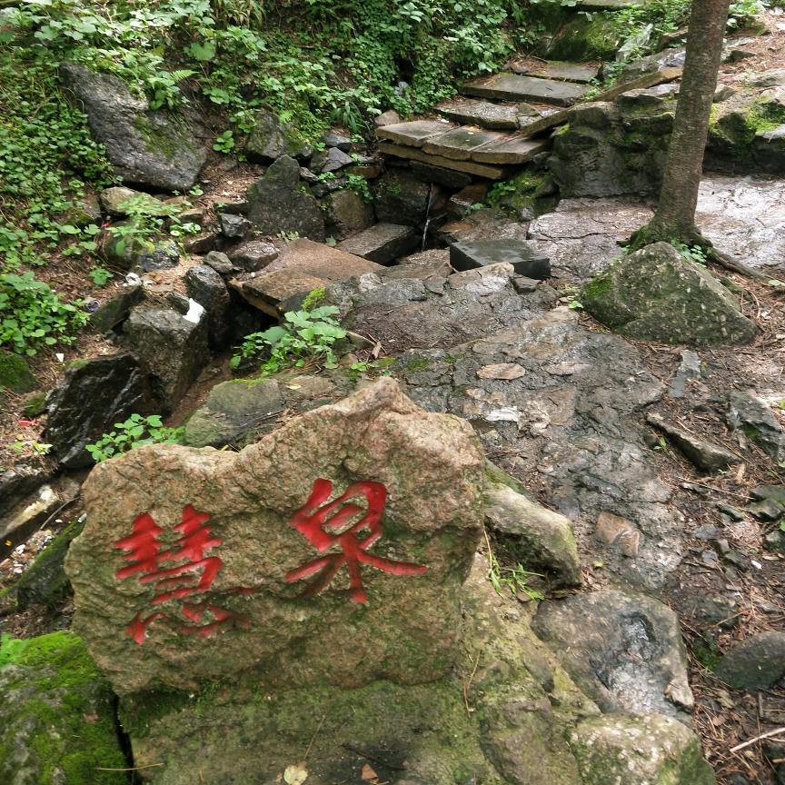 林都小修"伊哟”