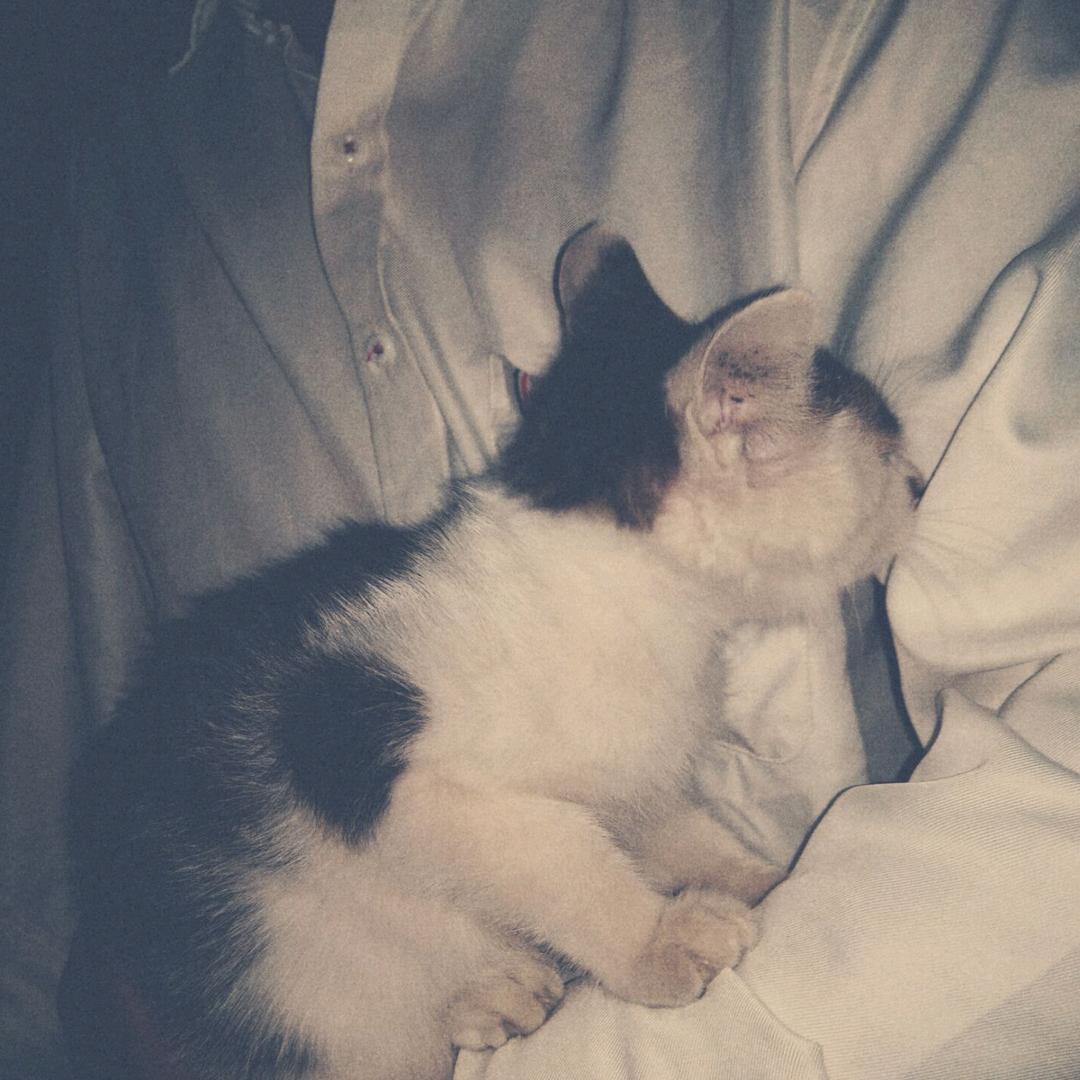 Aɢ꯭ᴏ꯭ɴ꯭ɪ꯭.