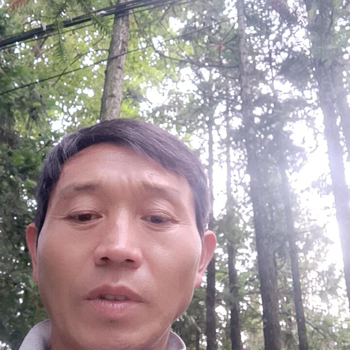 发现艺术人生