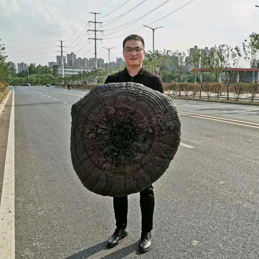 心李有李