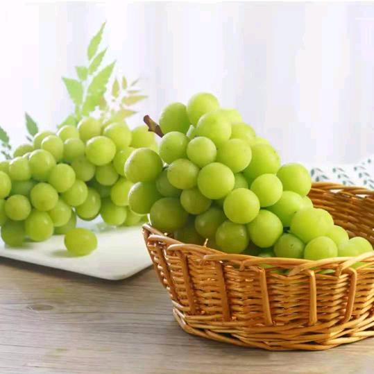 葡萄姐姐，老张葡萄园，成日村，日新，