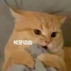 青蒿