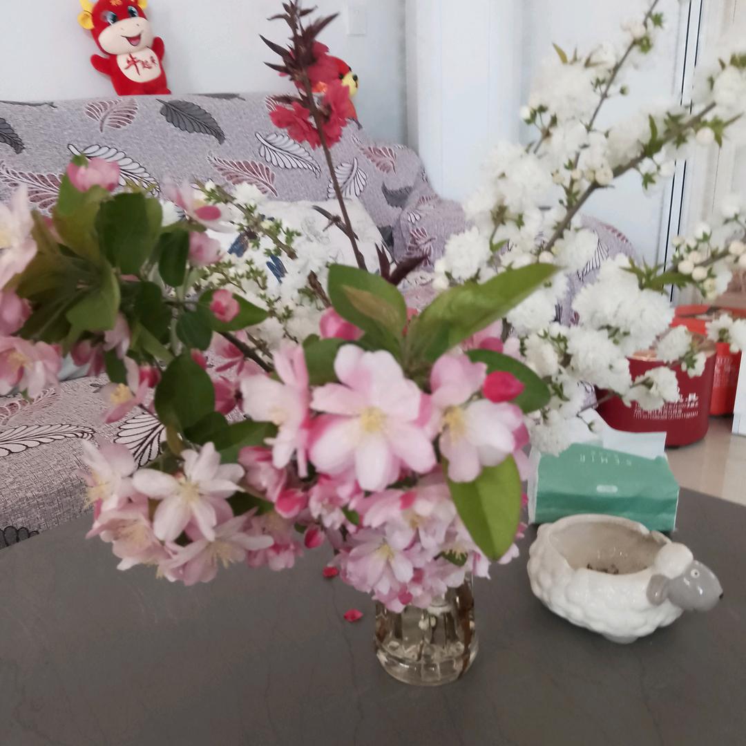 明天更好吧