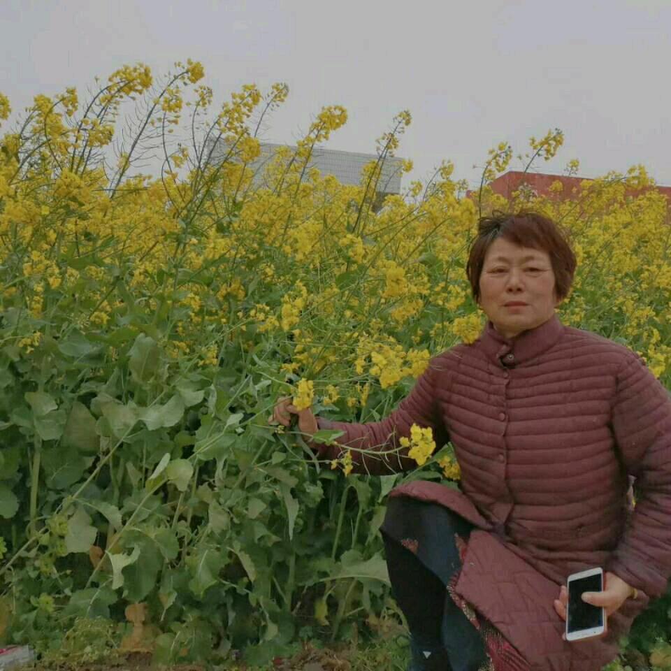 张淑英