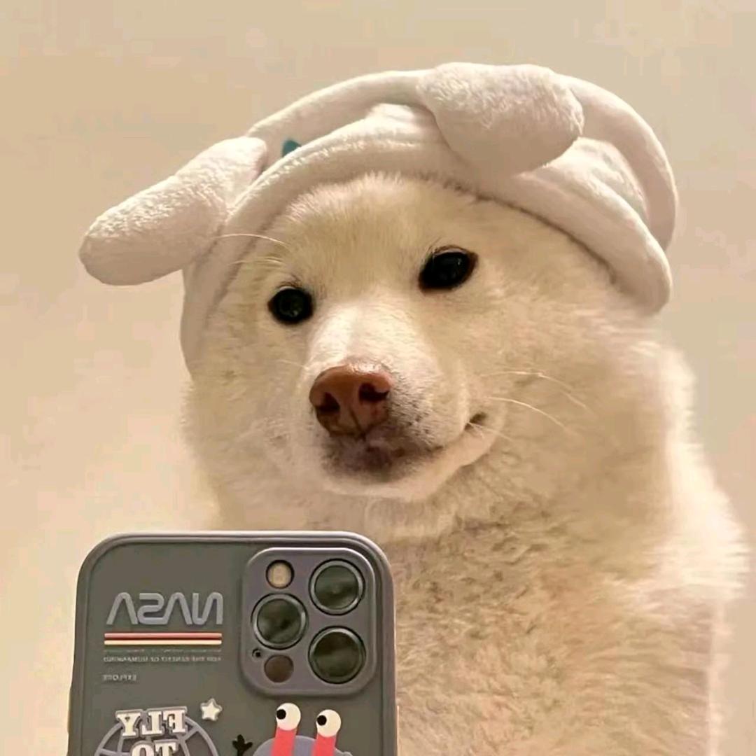 小徐睡不醒