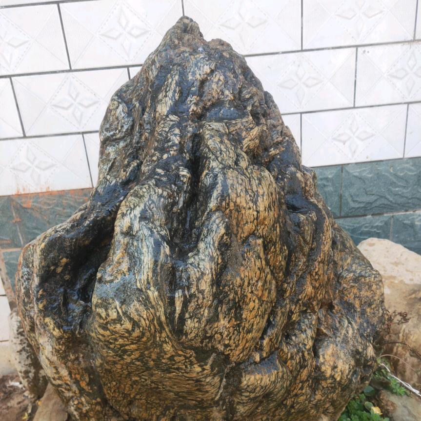 龙行天下安