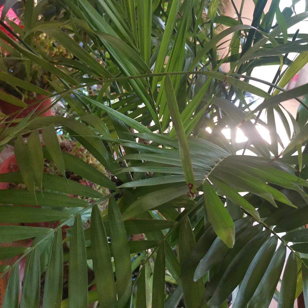 往事🌅随风