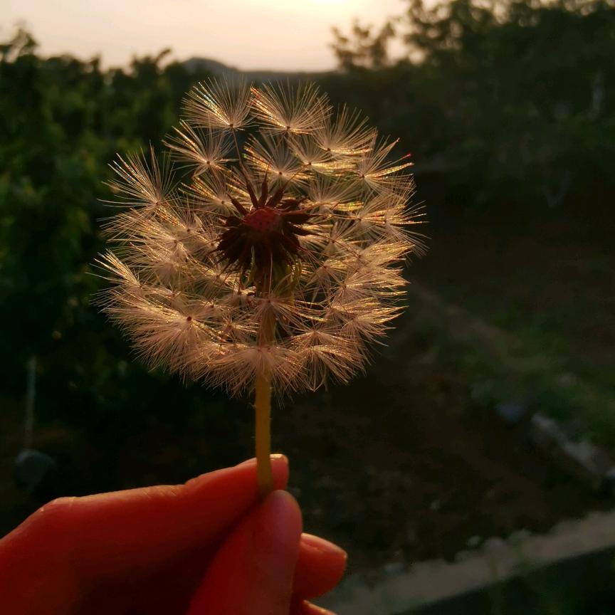 你给的幸福